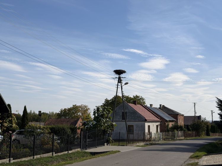 Od tygodni walczą o ratunek dla bociana. Interwencja Polskiego Radia Rzeszów w Grochowcach 1 - Polskie Radio Rzeszów Od tygodni walczą o ratunek dla bociana. Interwencja Polskiego Radia Rzeszów w Grochowcach