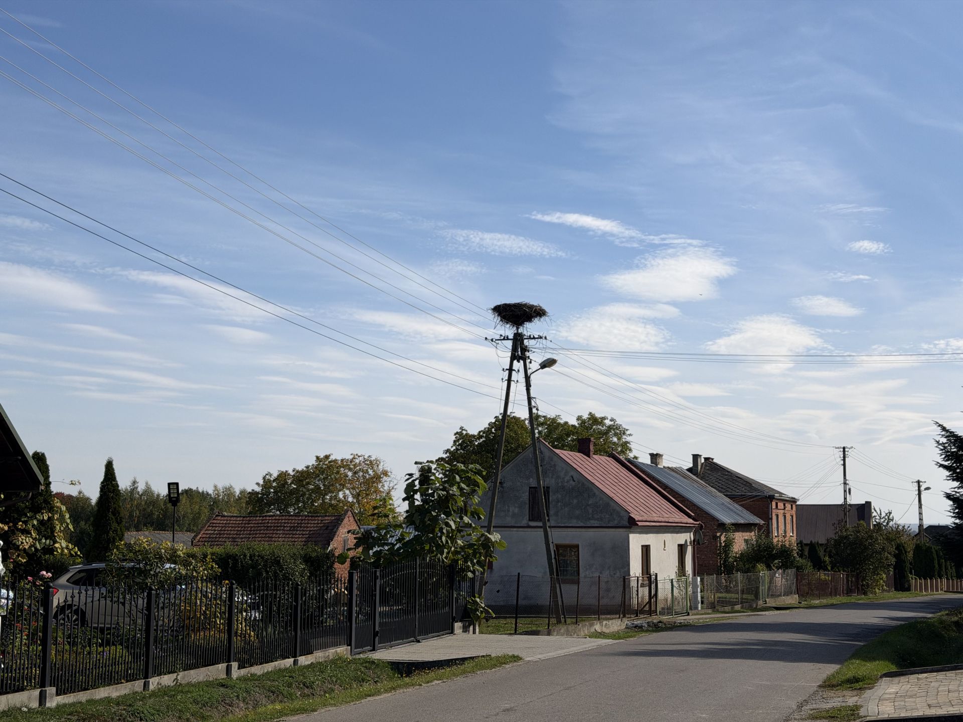Od tygodni walczą o ratunek dla bociana. Interwencja Polskiego Radia Rzeszów w Grochowcach 11 - Polskie Radio Rzeszów Od tygodni walczą o ratunek dla bociana. Interwencja Polskiego Radia Rzeszów w Grochowcach - Polskie Radio Rzeszów