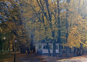 Park w Tyczynie zachwyca jesienią. 300-letnie drzewa i pałac 9 - Polskie Radio Rzeszów Park w Tyczynie zachwyca jesienią. 300-letnie drzewa i pałac