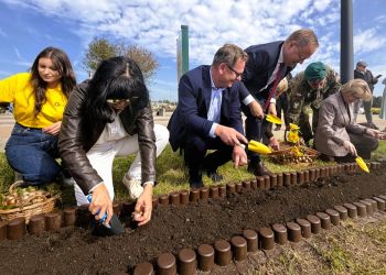 Pola Nadziei w&nbsp;Rzeszowie. Posadzili żonkile, by&nbsp;wesprzeć podopiecznych hospicjów