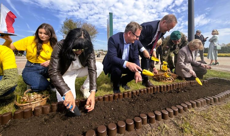 Pola Nadziei w&nbsp;Rzeszowie. Posadzili żonkile, by&nbsp;wesprzeć podopiecznych hospicjów