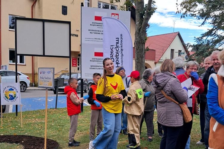 Pole Nadziei w Tyczynie. Seniorzy i przedszkolaki zasadzili 200 żonkili 1 - Polskie Radio Rzeszów Pole Nadziei w Tyczynie. Seniorzy i przedszkolaki zasadzili 200 żonkili