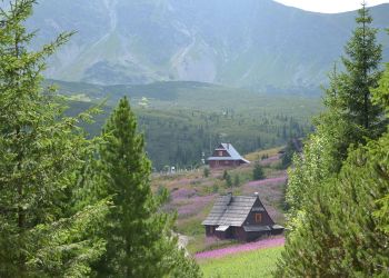 Zakopane ma&nbsp;coraz więcej miejsc noclegowych. Wzrost o&nbsp;60 proc.