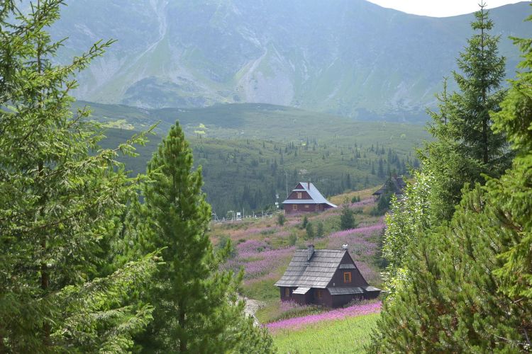 Zakopane ma coraz więcej miejsc noclegowych. Wzrost o 60 proc. 1 - Polskie Radio Rzeszów Zakopane ma coraz więcej miejsc noclegowych. Wzrost o 60 proc.