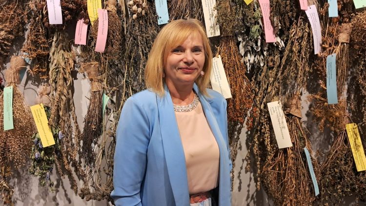 „Niezłe-ziółka” w&nbsp;Łańcucie. Wystawa pełna suszonych roślin